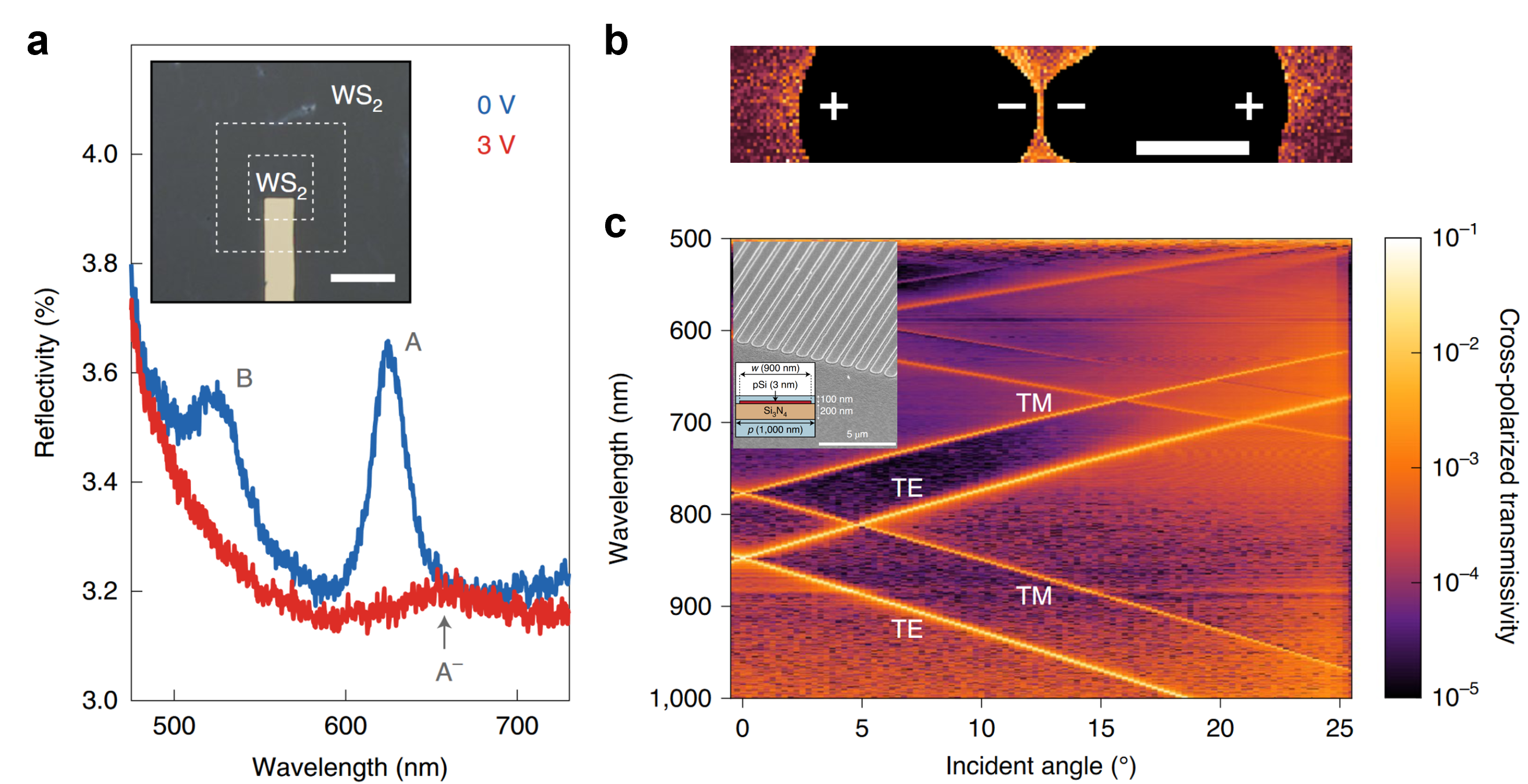 Cutting-edge characterization of optical materials and structures at atomic scale.
a, Spectroscopic light scattering properties of two-dimensional semiconductor.
b, In-situ electron energy lose spectroscopy (EELS) of sub-nanometer gap nano-plasmonic dimer in a transmission electron microscope (TEM).
c, Angle-resolved spectroscopy of 3-nm-thin Si grating on a dielectric thin film.